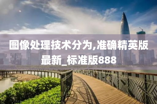 图像处理技术分为,准确精英版最新_标准版888