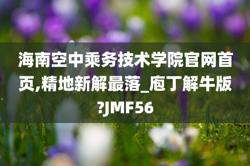 海南空中乘务技术学院官网首页,精地新解最落_庖丁解牛版?JMF56