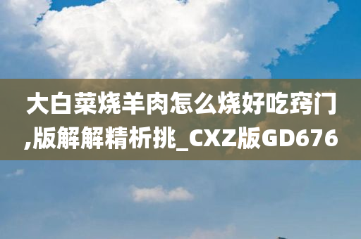 大白菜烧羊肉怎么烧好吃窍门,版解解精析挑_CXZ版GD676