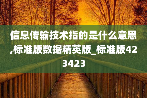 信息传输技术指的是什么意思,标准版数据精英版_标准版423423