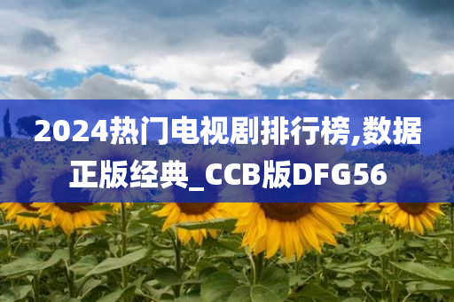 2024热门电视剧排行榜,数据正版经典_CCB版DFG56