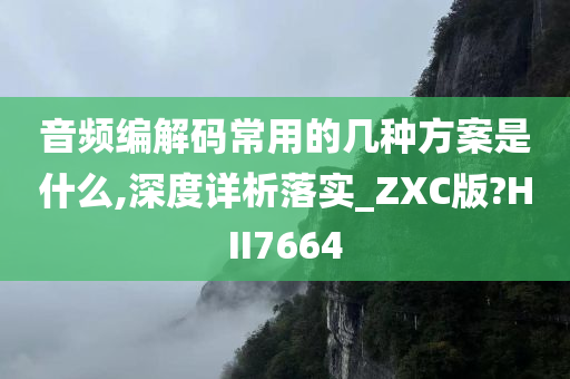 音频编解码常用的几种方案是什么,深度详析落实_ZXC版?HII7664