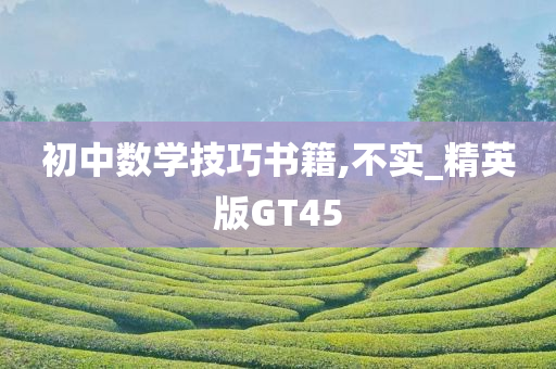 初中数学技巧书籍,不实_精英版GT45