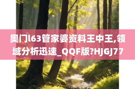 奥门l63管家婆资料王中王,领域分析迅速_QQF版?HJGJ77