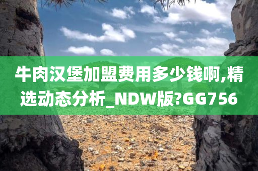 牛肉汉堡加盟费用多少钱啊,精选动态分析_NDW版?GG756