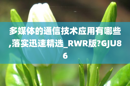 多媒体的通信技术应用有哪些,落实迅速精选_RWR版?GJU86