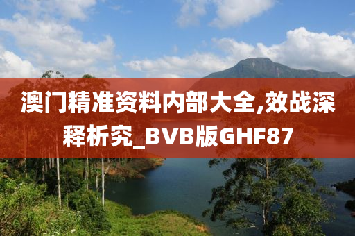 澳门精准资料内部大全,效战深释析究_BVB版GHF87