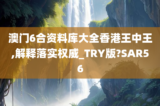 澳门6合资料库大全香港王中王,解释落实权威_TRY版?SAR56