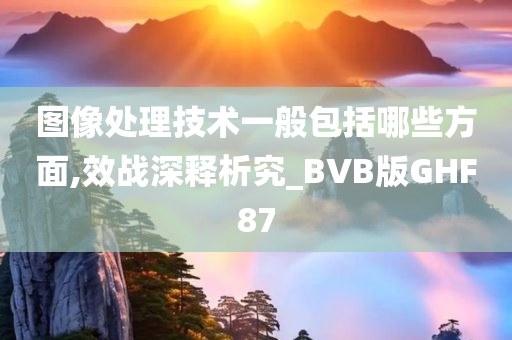 图像处理技术一般包括哪些方面,效战深释析究_BVB版GHF87