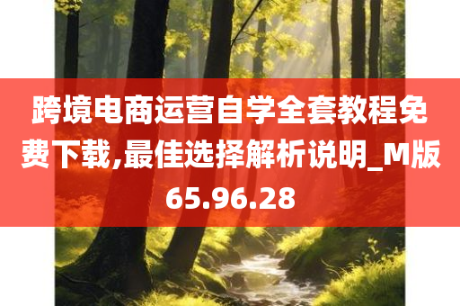 跨境电商运营自学全套教程免费下载,最佳选择解析说明_M版65.96.28