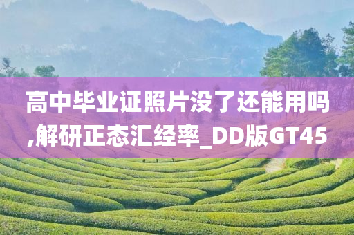 高中毕业证照片没了还能用吗,解研正态汇经率_DD版GT45