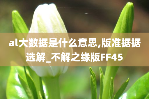 al大数据是什么意思,版准据据选解_不解之缘版FF45