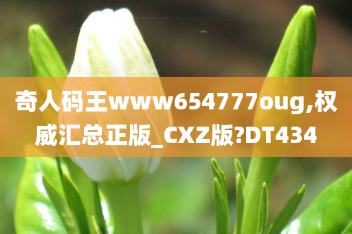 奇人码王www654777oug,权威汇总正版_CXZ版?DT434