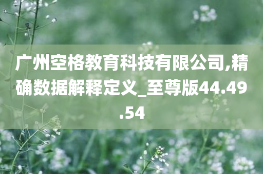 广州空格教育科技有限公司,精确数据解释定义_至尊版44.49.54