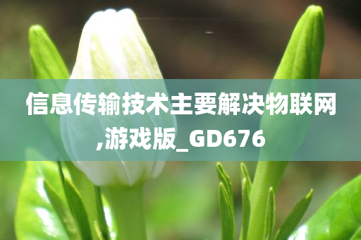 信息传输技术主要解决物联网,游戏版_GD676