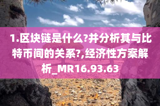 1.区块链是什么?并分析其与比特币间的关系?,经济性方案解析_MR16.93.63