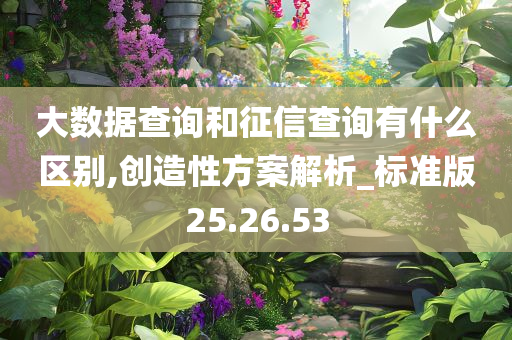 大数据查询和征信查询有什么区别,创造性方案解析_标准版25.26.53