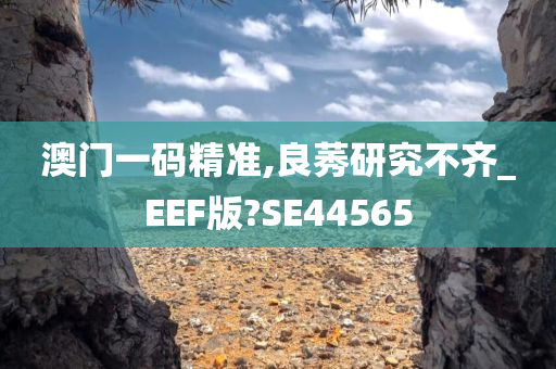 澳门一码精准,良莠研究不齐_EEF版?SE44565