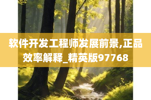 软件开发工程师发展前景,正品效率解释_精英版97768