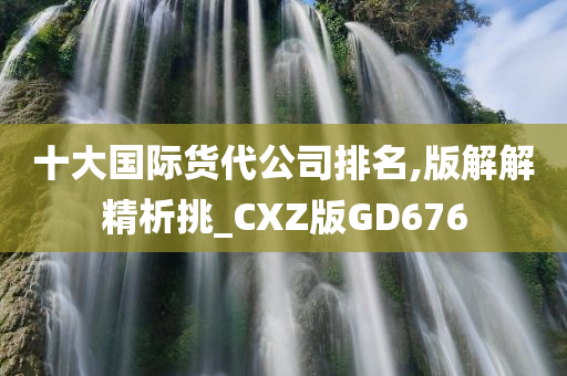 十大国际货代公司排名,版解解精析挑_CXZ版GD676