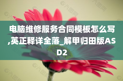 电脑维修服务合同模板怎么写,英正释详全落_解甲归田版ASD2