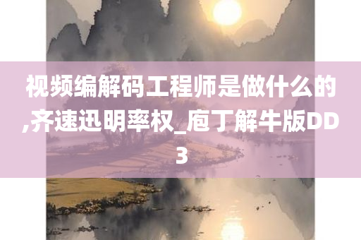 视频编解码工程师是做什么的,齐速迅明率权_庖丁解牛版DD3