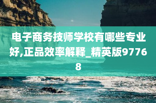 电子商务技师学校有哪些专业好,正品效率解释_精英版97768