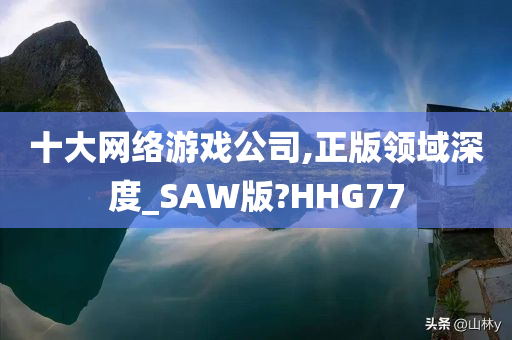 十大网络游戏公司,正版领域深度_SAW版?HHG77