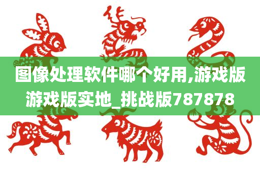 图像处理软件哪个好用,游戏版游戏版实地_挑战版787878