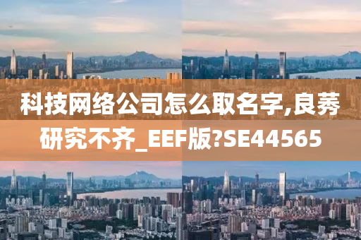 科技网络公司怎么取名字,良莠研究不齐_EEF版?SE44565