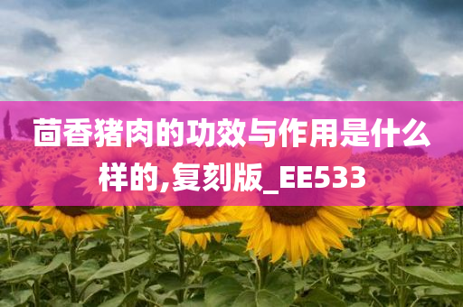 茴香猪肉的功效与作用是什么样的,复刻版_EE533