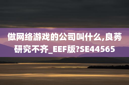 做网络游戏的公司叫什么,良莠研究不齐_EEF版?SE44565