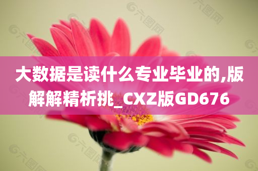 大数据是读什么专业毕业的,版解解精析挑_CXZ版GD676