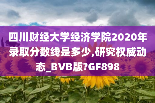 四川财经大学经济学院2020年录取分数线是多少,研究权威动态_BVB版?GF898