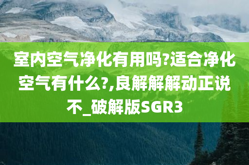 室内空气净化有用吗?适合净化空气有什么?,良解解解动正说不_破解版SGR3