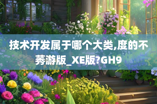 技术开发属于哪个大类,度的不莠游版_XE版?GH9