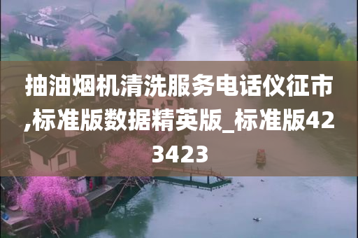 抽油烟机清洗服务电话仪征市,标准版数据精英版_标准版423423