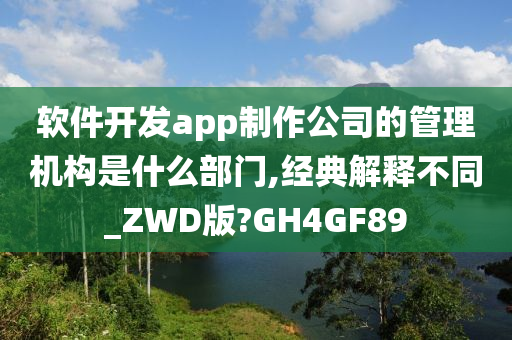 软件开发app制作公司的管理机构是什么部门,经典解释不同_ZWD版?GH4GF89