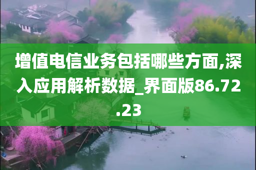 增值电信业务包括哪些方面,深入应用解析数据_界面版86.72.23