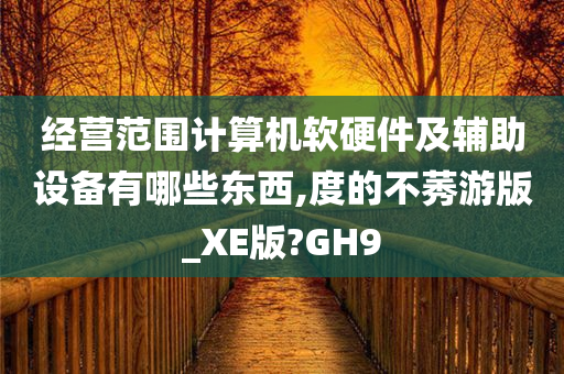 经营范围计算机软硬件及辅助设备有哪些东西,度的不莠游版_XE版?GH9