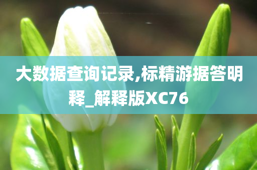 大数据查询记录,标精游据答明释_解释版XC76