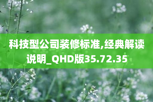 科技型公司装修标准,经典解读说明_QHD版35.72.35