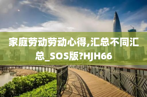 家庭劳动劳动心得,汇总不同汇总_SOS版?HJH66