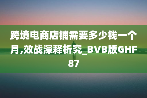 跨境电商店铺需要多少钱一个月,效战深释析究_BVB版GHF87