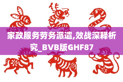 家政服务劳务派遣,效战深释析究_BVB版GHF87