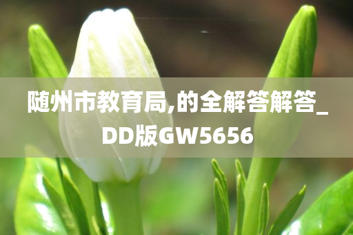 随州市教育局,的全解答解答_DD版GW5656