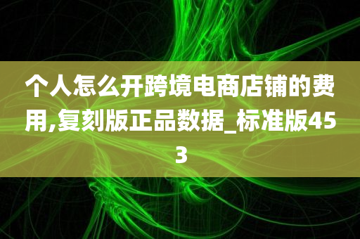 个人怎么开跨境电商店铺的费用,复刻版正品数据_标准版453