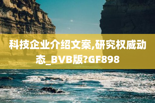 科技企业介绍文案,研究权威动态_BVB版?GF898