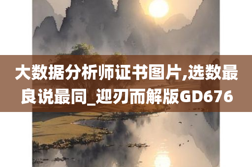 大数据分析师证书图片,选数最良说最同_迎刃而解版GD676