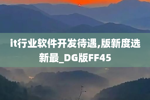 it行业软件开发待遇,版新度选新最_DG版FF45